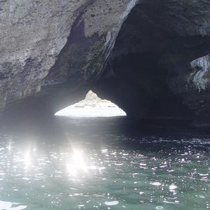 Meet your Posher, Danny